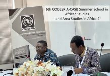6th CODESRIA-CASB Summer School in African Studies and Area Studies in Africa