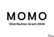 A Comprehensive Guide to Applying for the Momo Distribution Grant