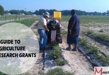 A Guide to Agriculture Research Grants