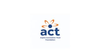 ACT Foundation Professional Volunteer Program for African Entrepreneurs