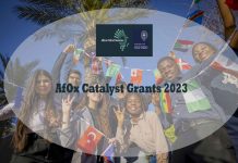 AfOx Catalyst Grants 2023