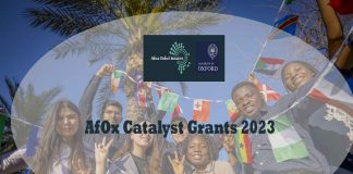 AfOx Catalyst Grants 2023