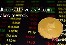Altcoins Thrive as Bitcoin Takes a Break