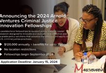 Arnold Ventures Criminal Justice Innovation Fellowships 2024