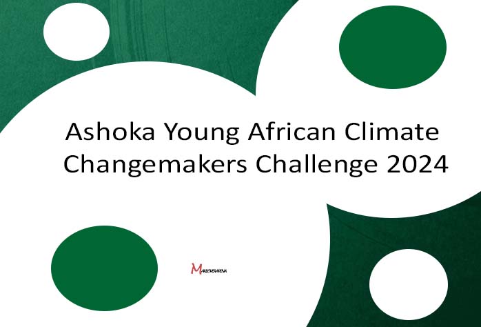 Ashoka Young African Climate Changemakers Challenge