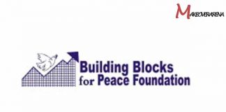 BBforPeace Young Peacebuilders Fellowship 2024