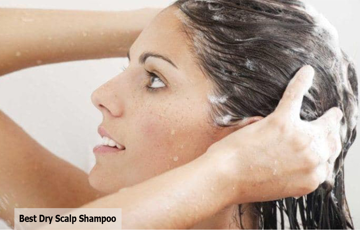 Best Dry Scalp Shampoo