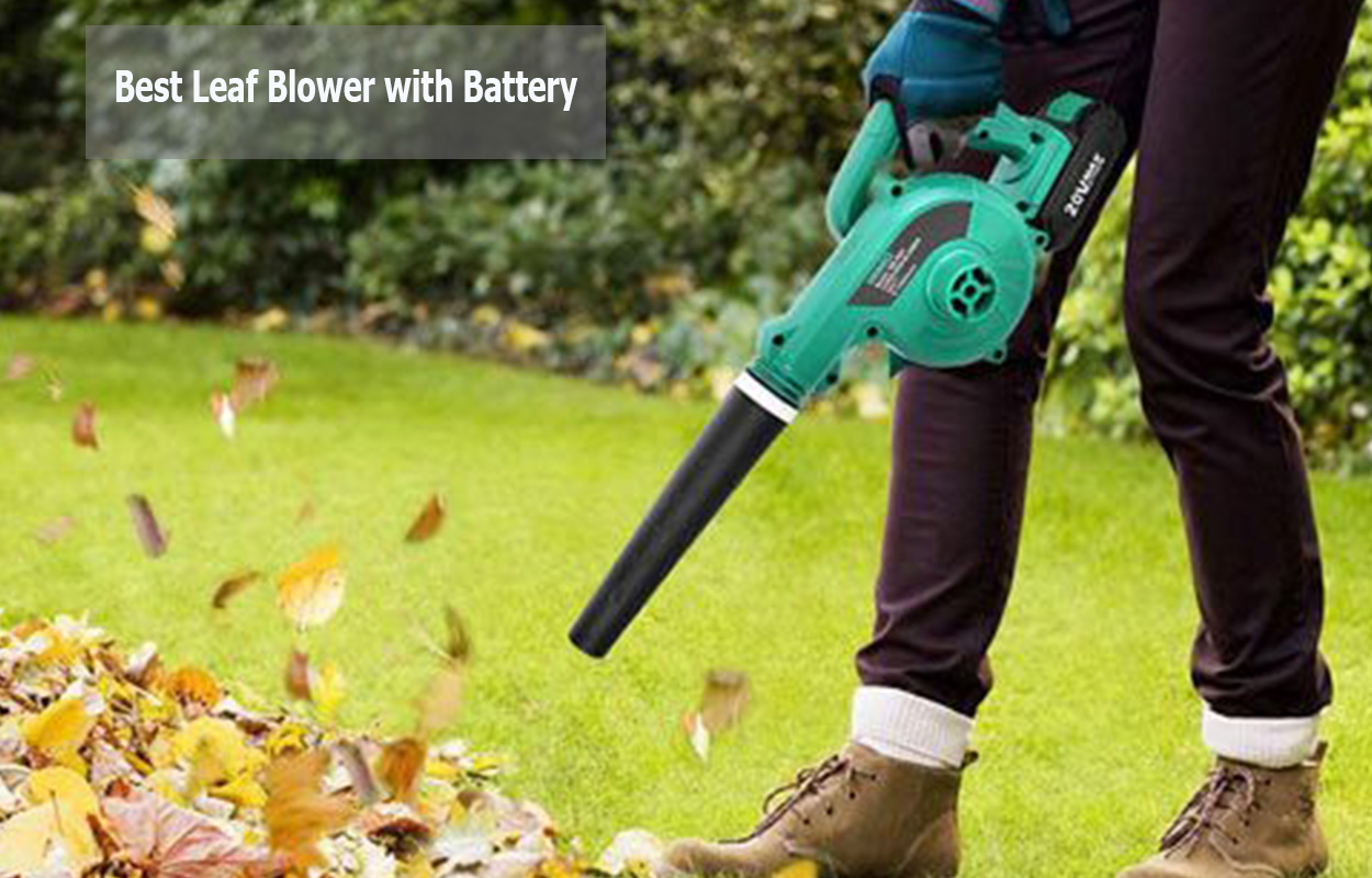 Best Leaf Blower with Battery