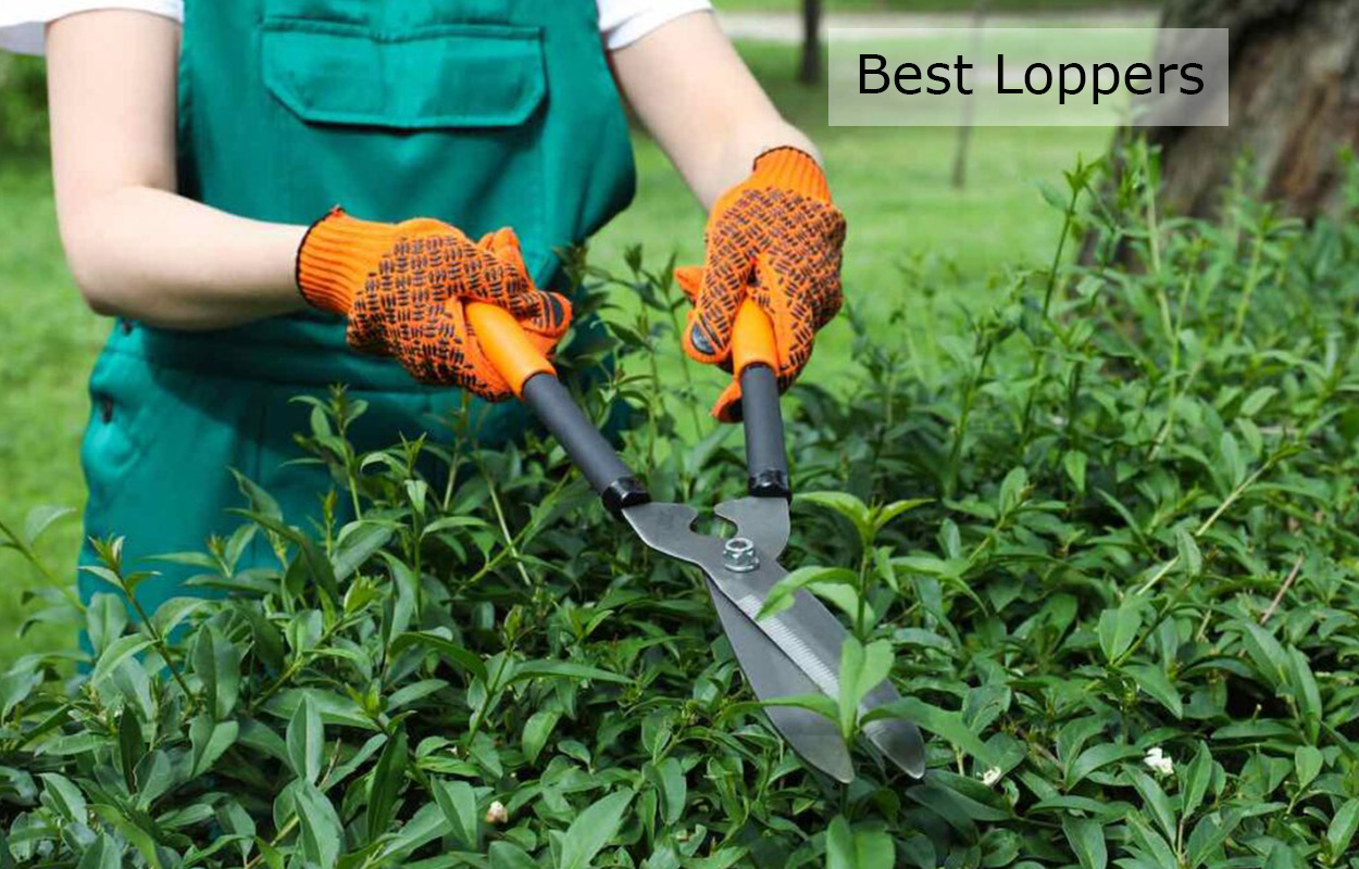 Best Loppers