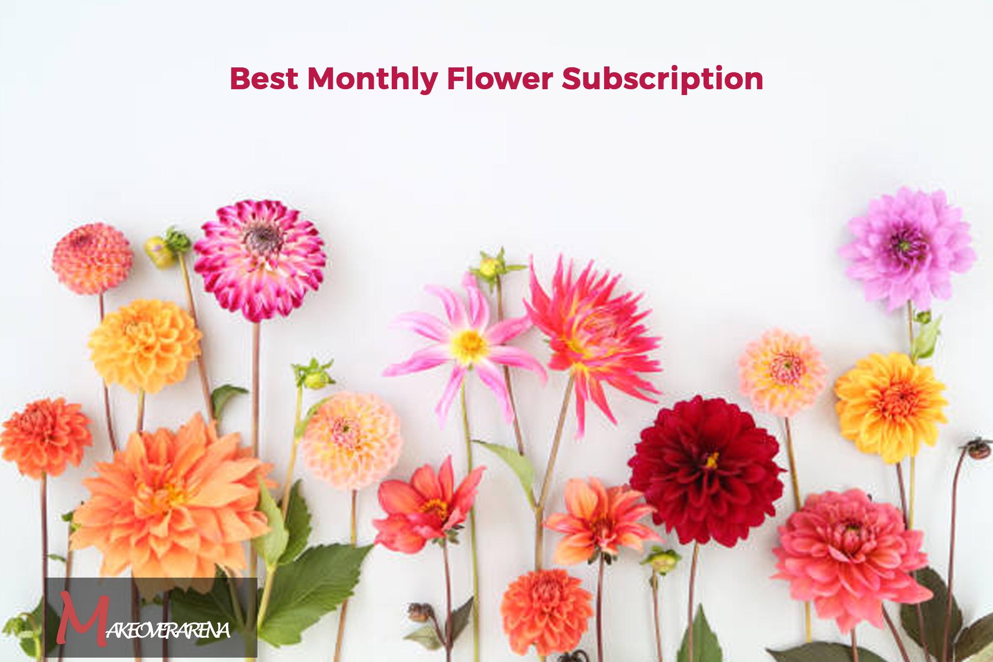 Best Monthly Flower Subscription