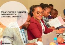 Bridge Leadership Foundation Emerging Political Leaders Fellowship 2024