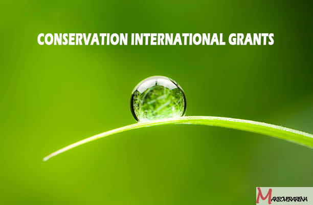 Conservation International Grants