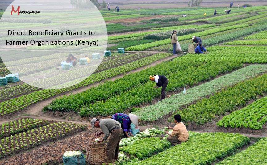 Direct Beneficiary Grants to Farmer Organizations (Kenya)