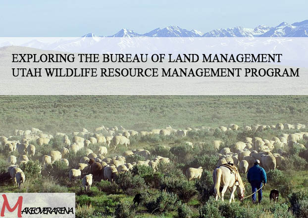Exploring the Bureau of Land Management Utah Wildlife Resource Management Program