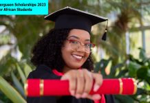 Ferguson Scholarships 2023 for African Students