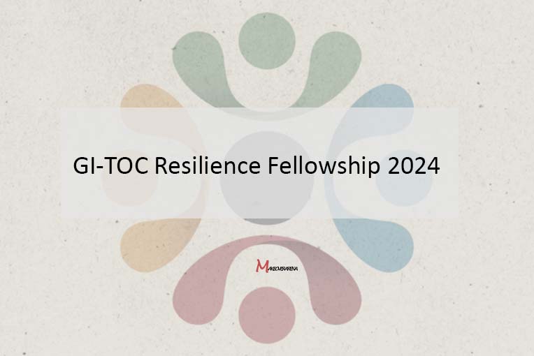 GI-TOC Resilience Fellowship 2024 