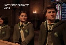 Harry Potter Multiplayer Game