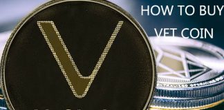 How to Buy Vet Coin
