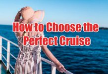 How to Choose the Perfect Cruise