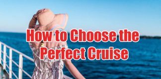 How to Choose the Perfect Cruise