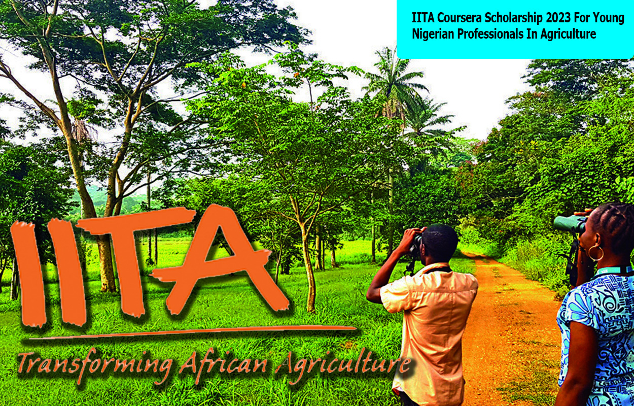 IITA Coursera Scholarship 2023 For Young Nigerian Professionals In Agriculture