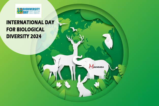 International Day for Biological Diversity 
