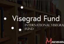 International Visegrad Fund