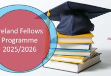 Ireland Fellows Programme 2025/2026