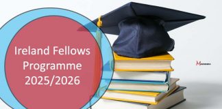 Ireland Fellows Programme 2025/2026