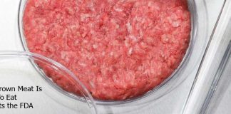 Lab-Grown Meat Is Safe To Eat Reports the FDA
