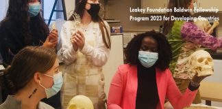 Leakey Foundation Baldwin Fellowship Program 2023