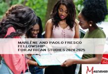 Marlène and Paolo Fresco Fellowship for African Studies 2024-2025