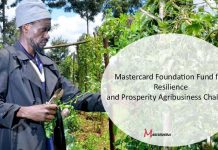 Mastercard Foundation Fund for Resilience and Prosperity Agribusiness Challenge