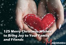 Merry Christmas Wishes to Bring Joy to Your Family and Friends