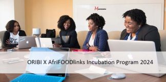ORIBI X AfriFOODlinks Incubation Program 2024