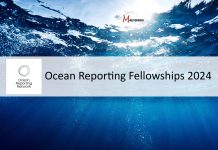 Ocean Reporting Fellowships 2024