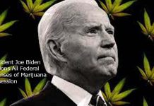 President Joe Biden Pardons All Federal Offenses of Marijuana Possession