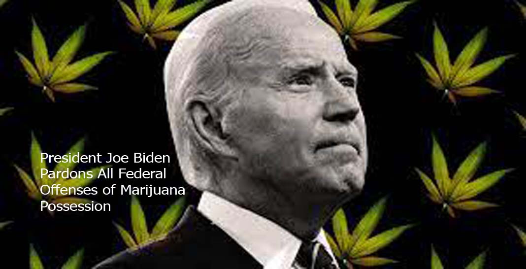 President Joe Biden Pardons All Federal Offenses of Marijuana Possession