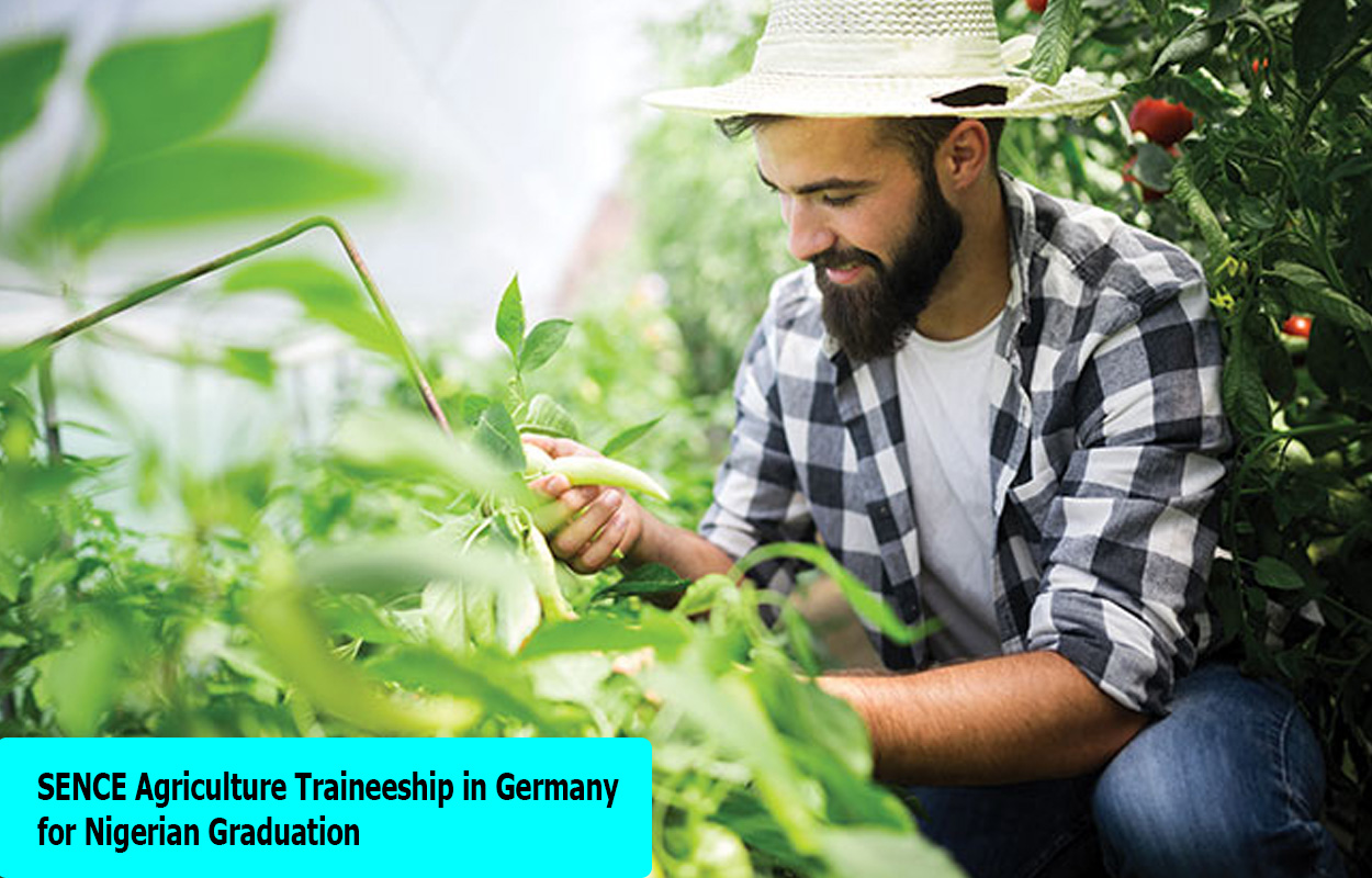 SENCE Agriculture Traineeship in Germany for Nigerian Graduation 