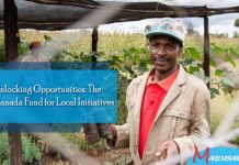 Unlocking Opportunities: The Canada Fund for Local Initiatives