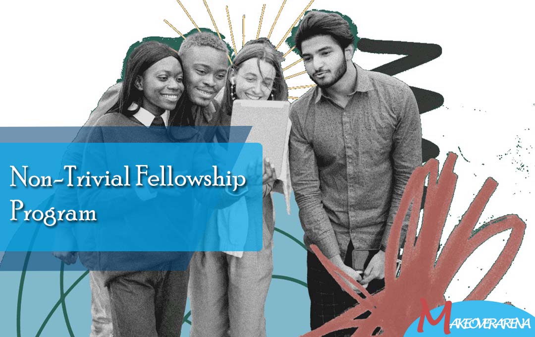 Non-Trivial Fellowship Program