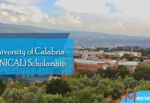 University of Calabria (UNICAL) Scholarship