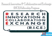 RICE Fellowships Program