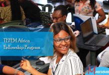 TEFEM Africa Fellowship Program