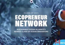 Sustainable Ocean Alliance Ecopreneur (SOA) Network Class Of 2024