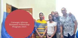 Carnegie African Diaspora Fellowship Program