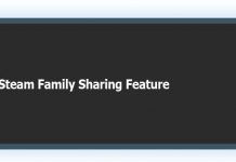 Steam Family Sharing Feature