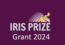 The Iris Prize Grant 2024