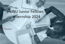 UNU Junior Fellows Internship 2024