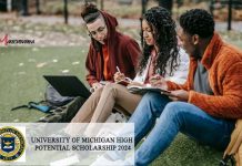 University Of Michigan High Potential Scholarship 2024